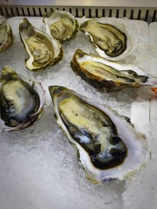 Oesters